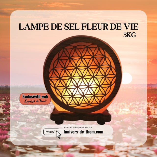 Lampe de Sel Fleur de Vie 5KG
