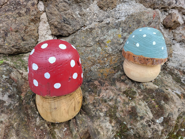 Champignon bois tête rouge