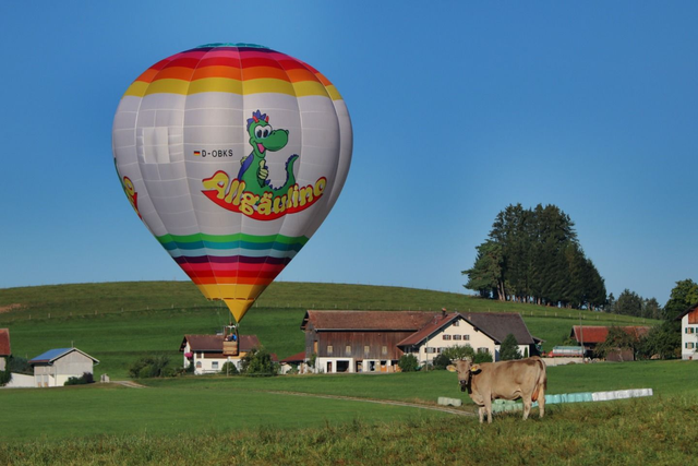 ExklusivXL Ballonfahrt im Allgäu   (2 - 2,5 Stunden reine Fahrzeit)
