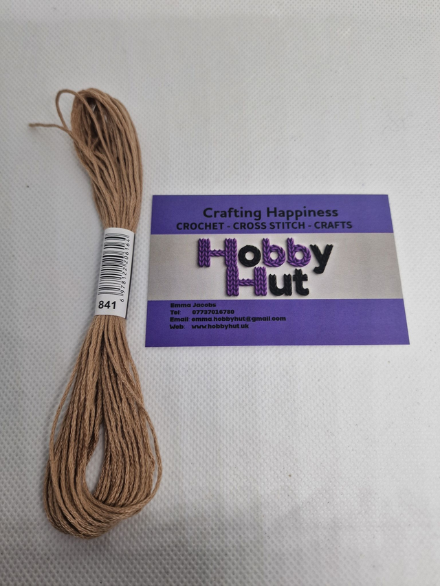 Embroidery Thread - 841