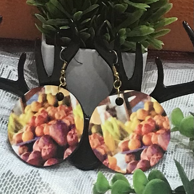 Wood Mix Coloured Dangling Earrings- MSDE01