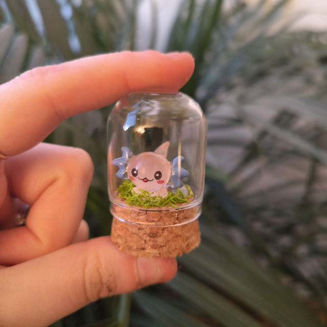 Toup'tit protecteur - Axolotl transparent