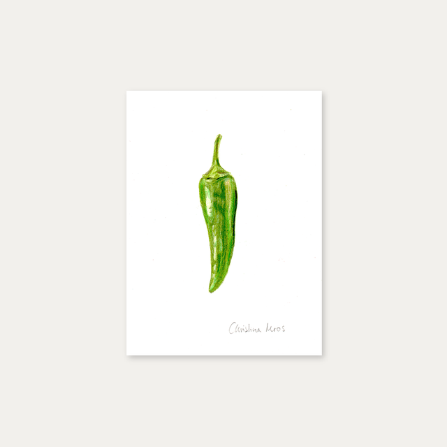 Chili in grün