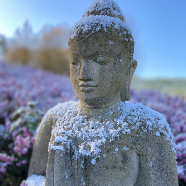 Hébergement Formation Professeurs 