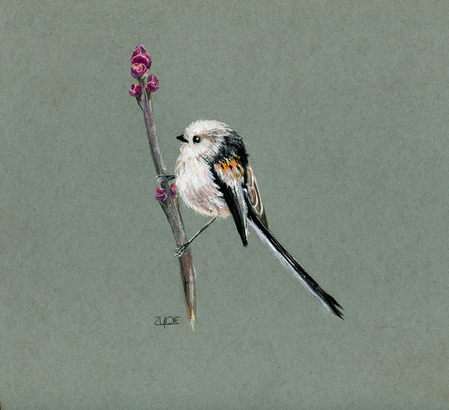 FineArt-Print - Schwanzmeise