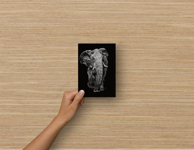 Carte Postale - Eléphant d&#039;Afrique (reproduction Aquarelle)