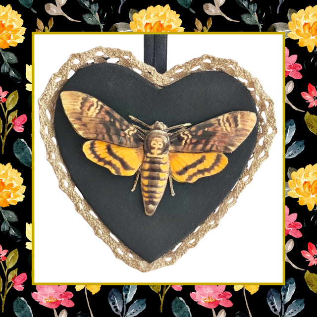 Médaillon décoratif.