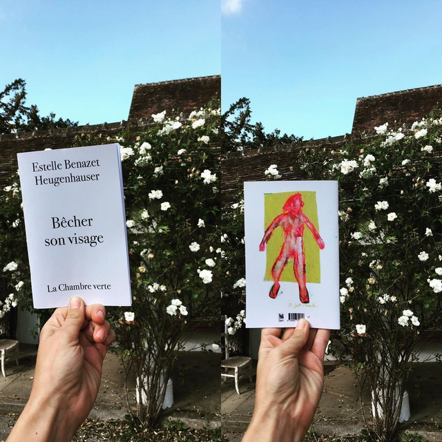 Bêcher son visage - Estelle Benazet Heugenhauser