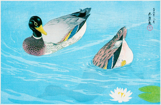 Ducks by Goyō Hashiguchi