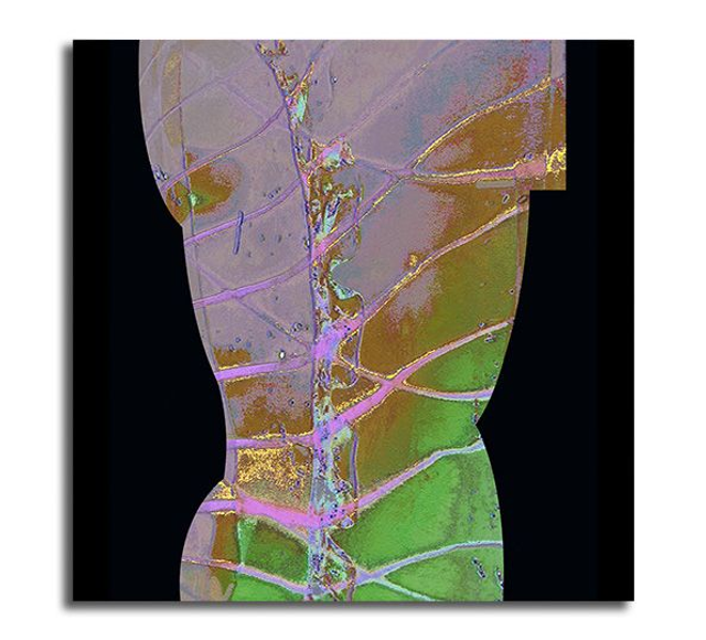 03 Body - Steady, 2025