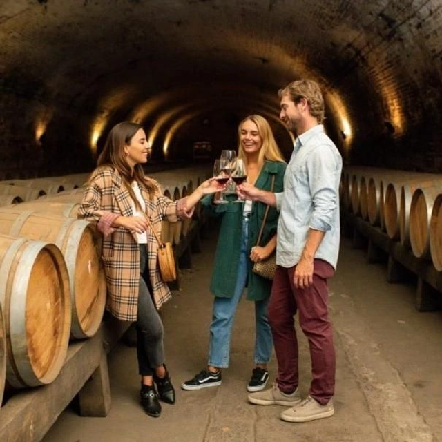 Tour Vinícola Undurraga 