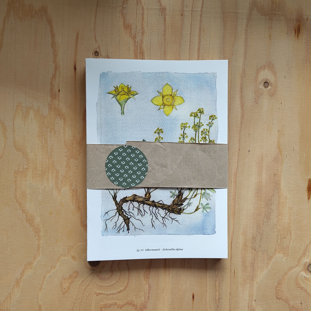 Bundle: 23 Pflanzenportraits assortiert