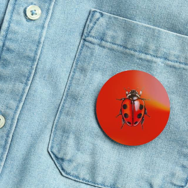 Pin - coccinelle