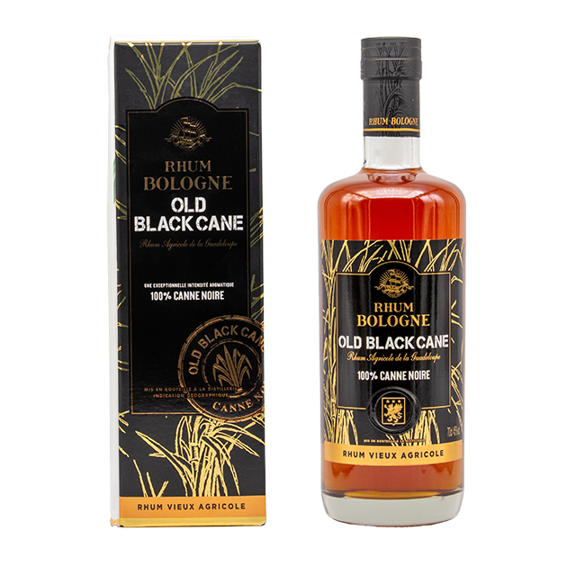 Bologne old black cane