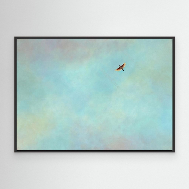 The Lark Ascending - (Lark)