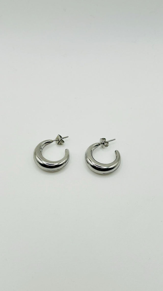 Stainless Steel Earrings (SSE87J)
