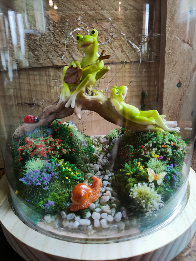 La sieste des grenouilles heureuses