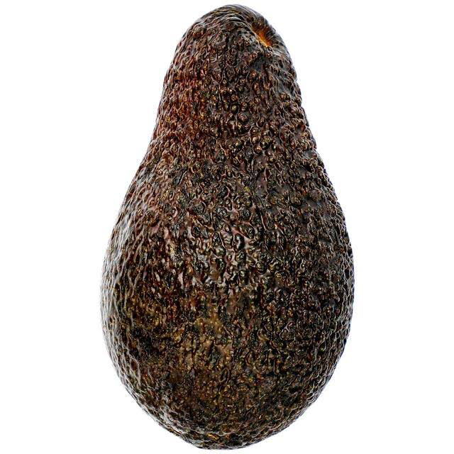 Medium Avocado 