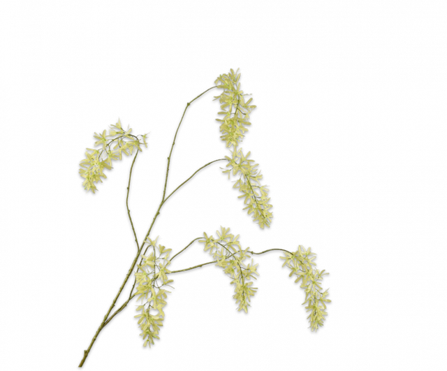 Silk-Ka Wisteria Tak Groen 