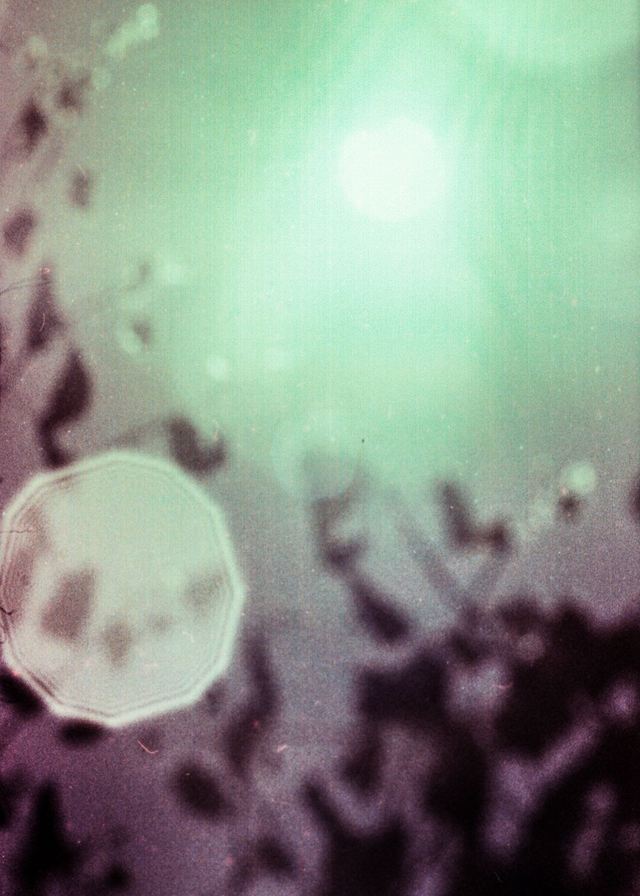 Tim Théo Deceuninck