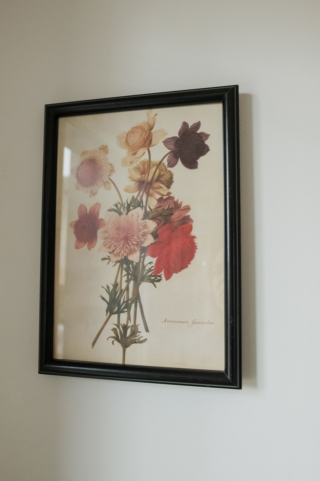 Florae Obscura 🥀 Cadre revalorisé