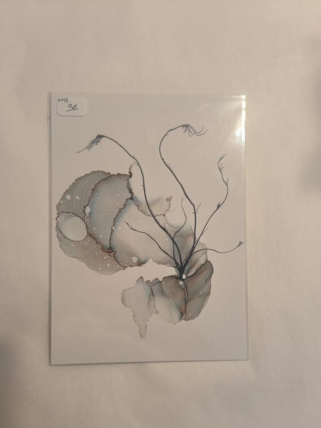 Carte N13