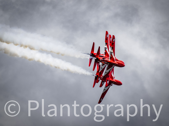 How Many Reds? - limited edition poster print.