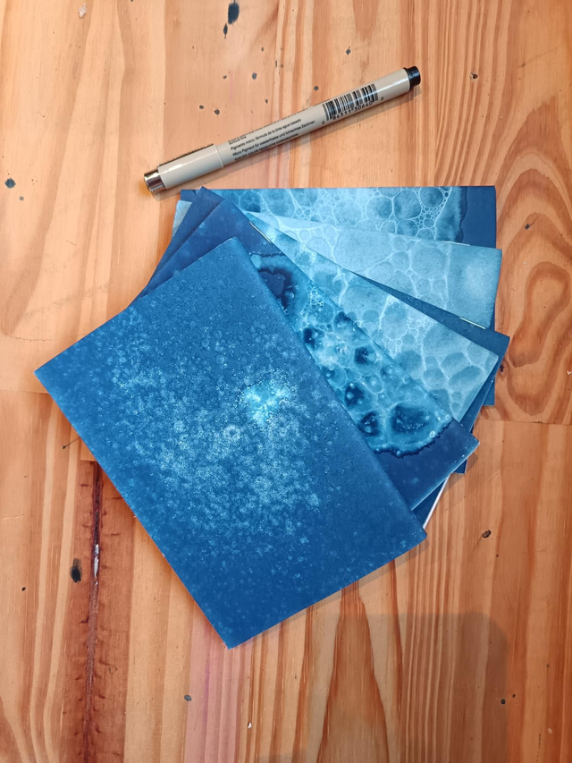 Carnet cyanotype "bubulle" A6