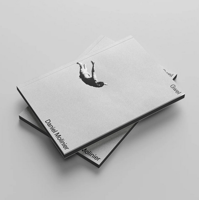 Gwel — Daniel Molinier