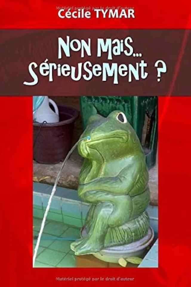 NON MAIS ... SERIEUSEMENT ?