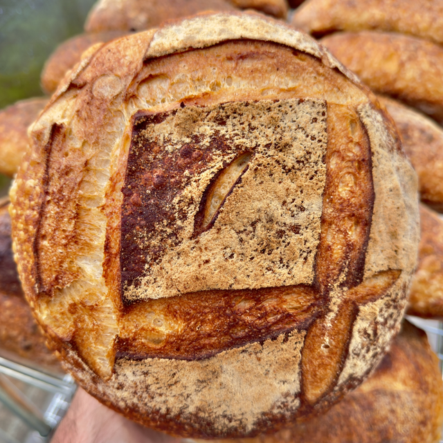 PAIN DE CAMPAGNE