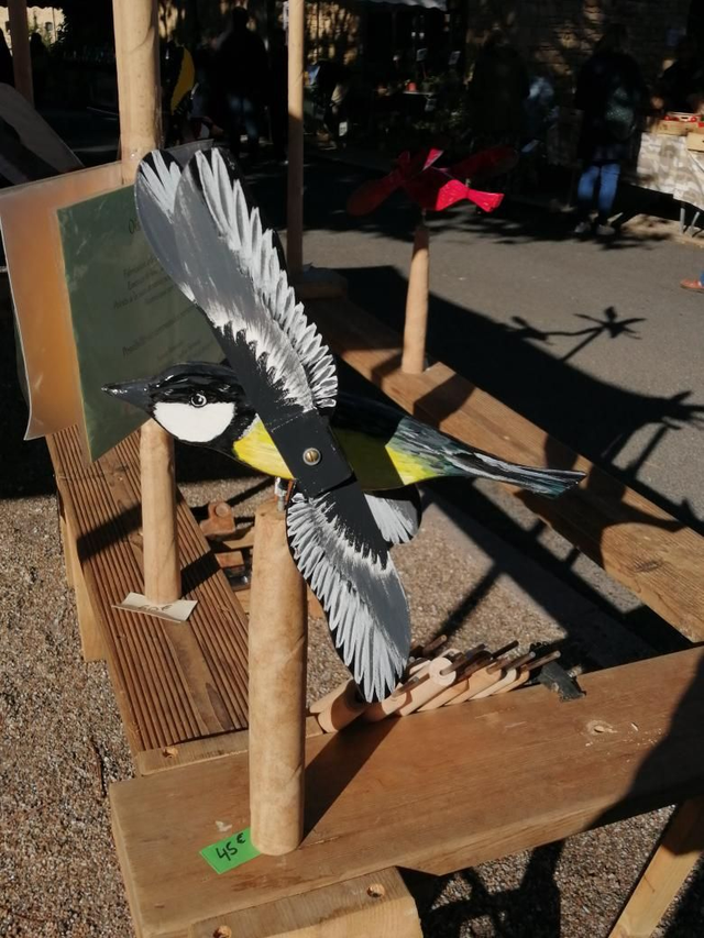 Mésange charbonnière 