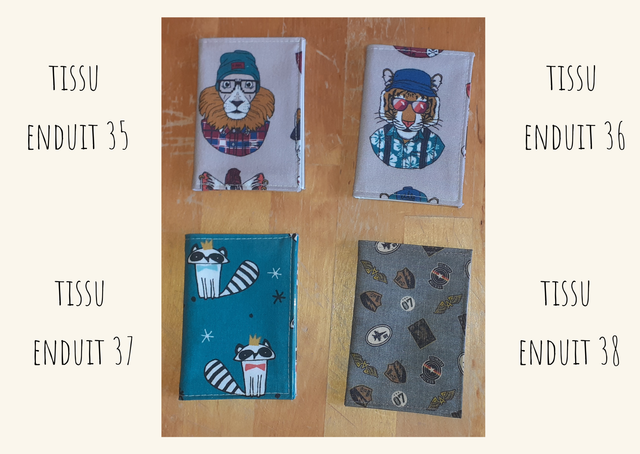 Porte cartes: CB, cantine, bus