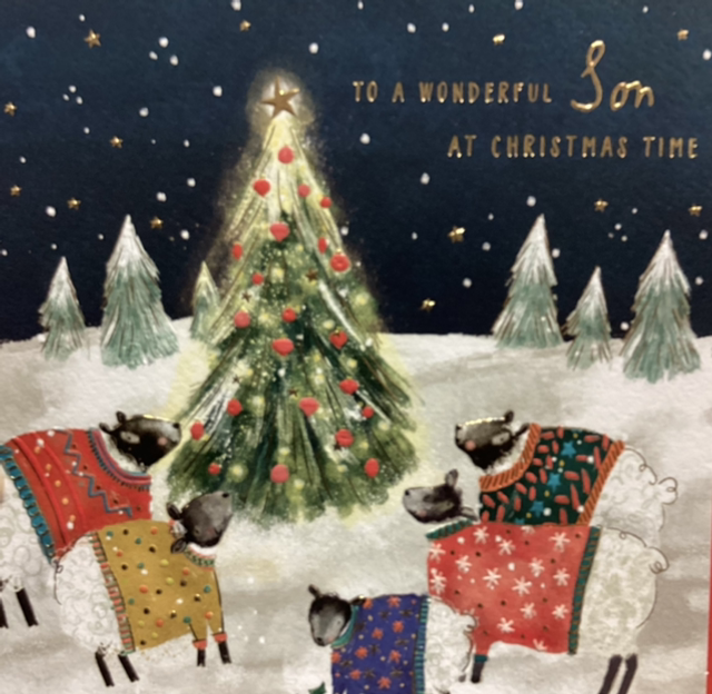 Christmas Son (Sheep in jumpers) GB