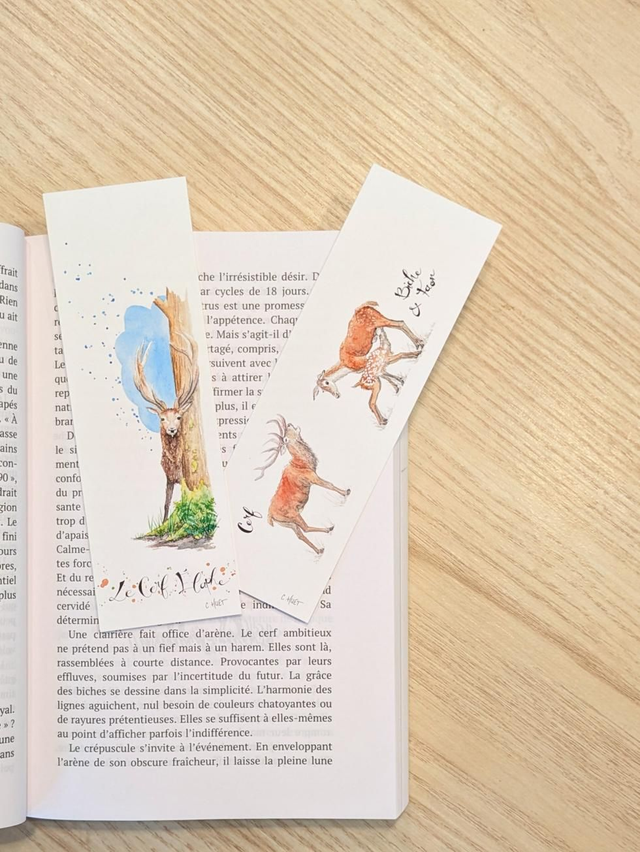 Marque-pages à l'aquarelle cerf biche et faon, 2 modèles