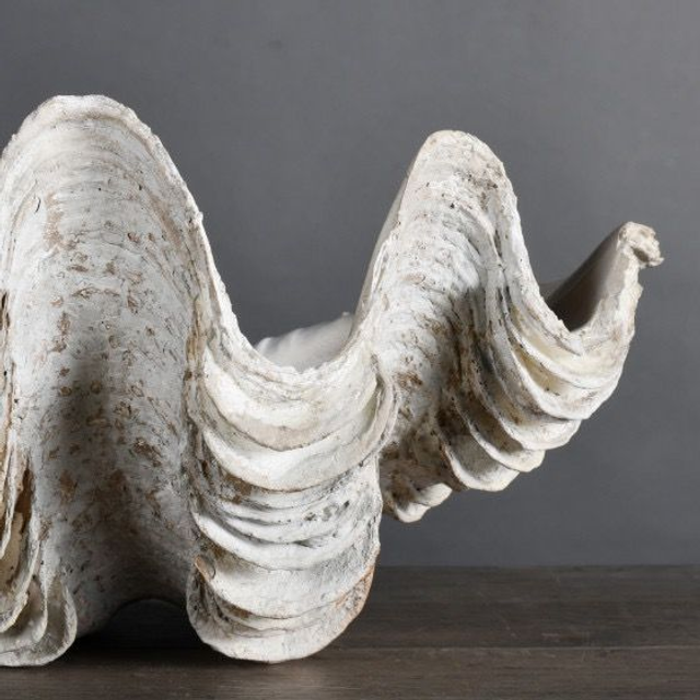 Bénitier Tricdana S