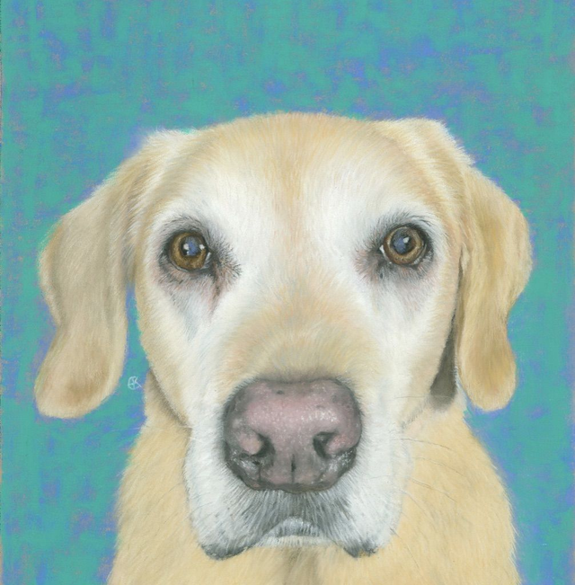 Greeting Card 'Sandy'  (Broken Biscuits, UK) 