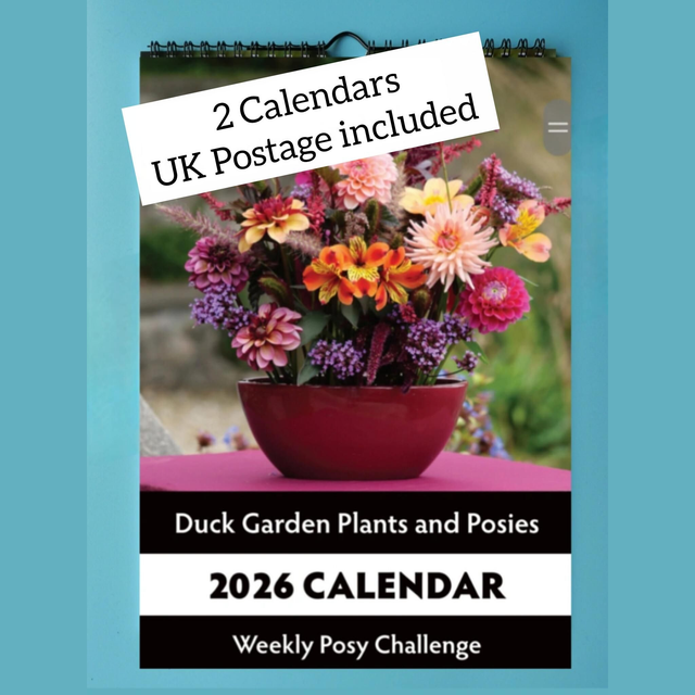 2 Calendars - UK Postage included
