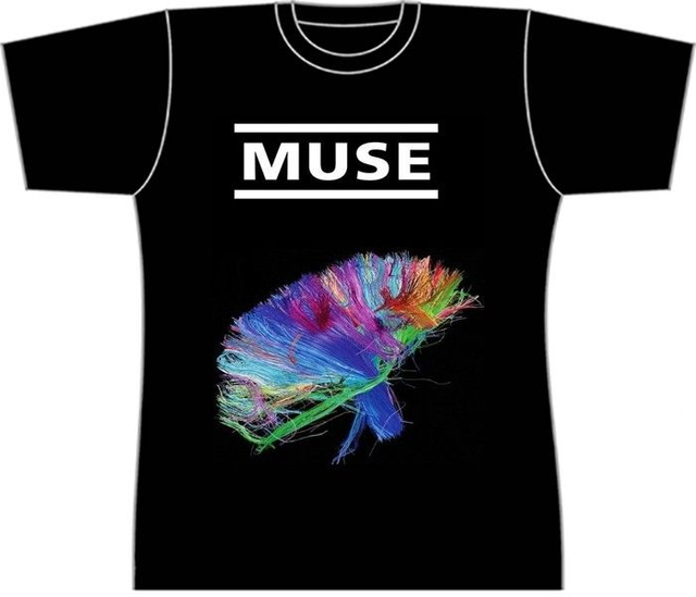 Muse