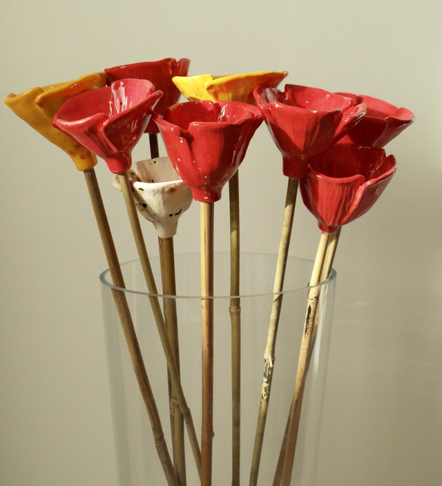 Grand coquelicot sur tige