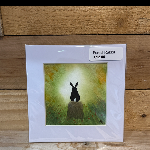 Forest Rabbit