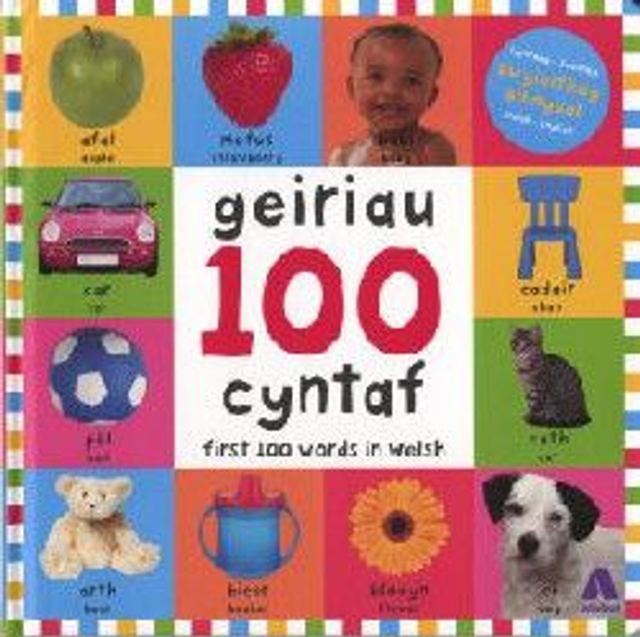 100 Geiriau Cyntaf/ First 100 Words in Welsh (Hardback)