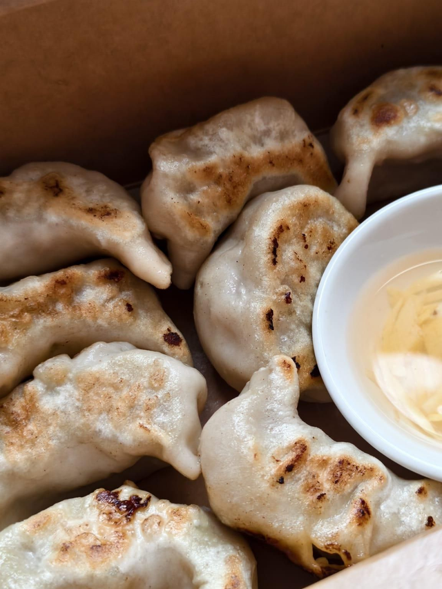 Fried Pork Dumplings (6)