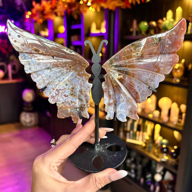 Ocean Jasper Butterfly Wings R57H19