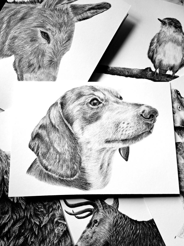 Dachshund Greetings Card