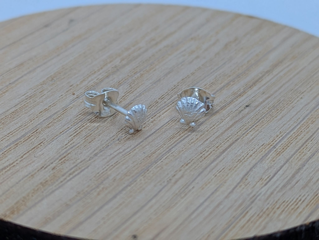 XSmall Scallop Shell Earrings