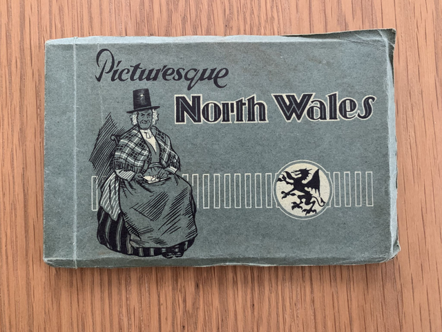 Picturesque North Wales Souvenir 36 Sepia Tone Views Valentine &amp; Sons c1900