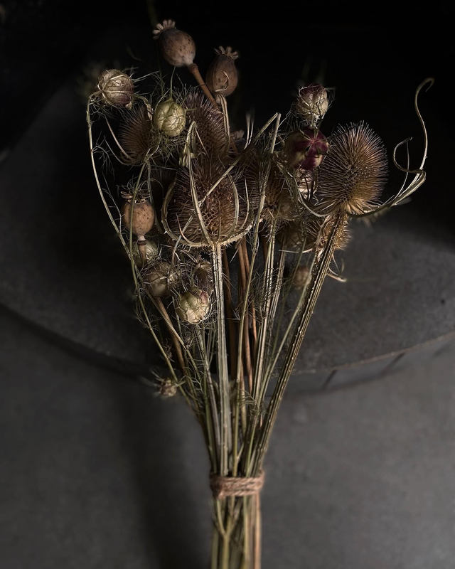 Poppies &amp; Thistles Dried Bunch 