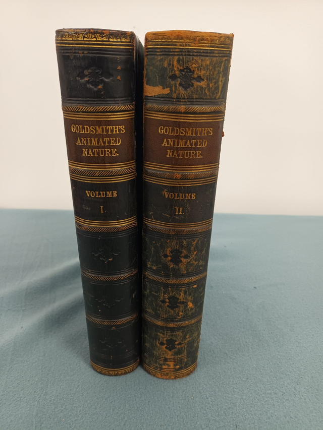 A HISTORY OF THE EARTH AND ANIMATED NATURE BY OLIVER GOLDSMITH