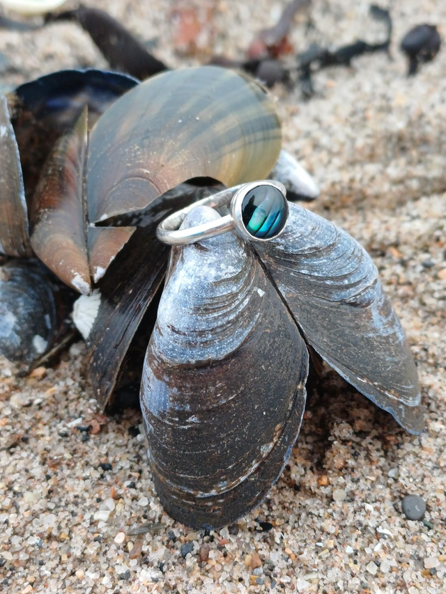 Paua Shell Sterling Silver Ring 